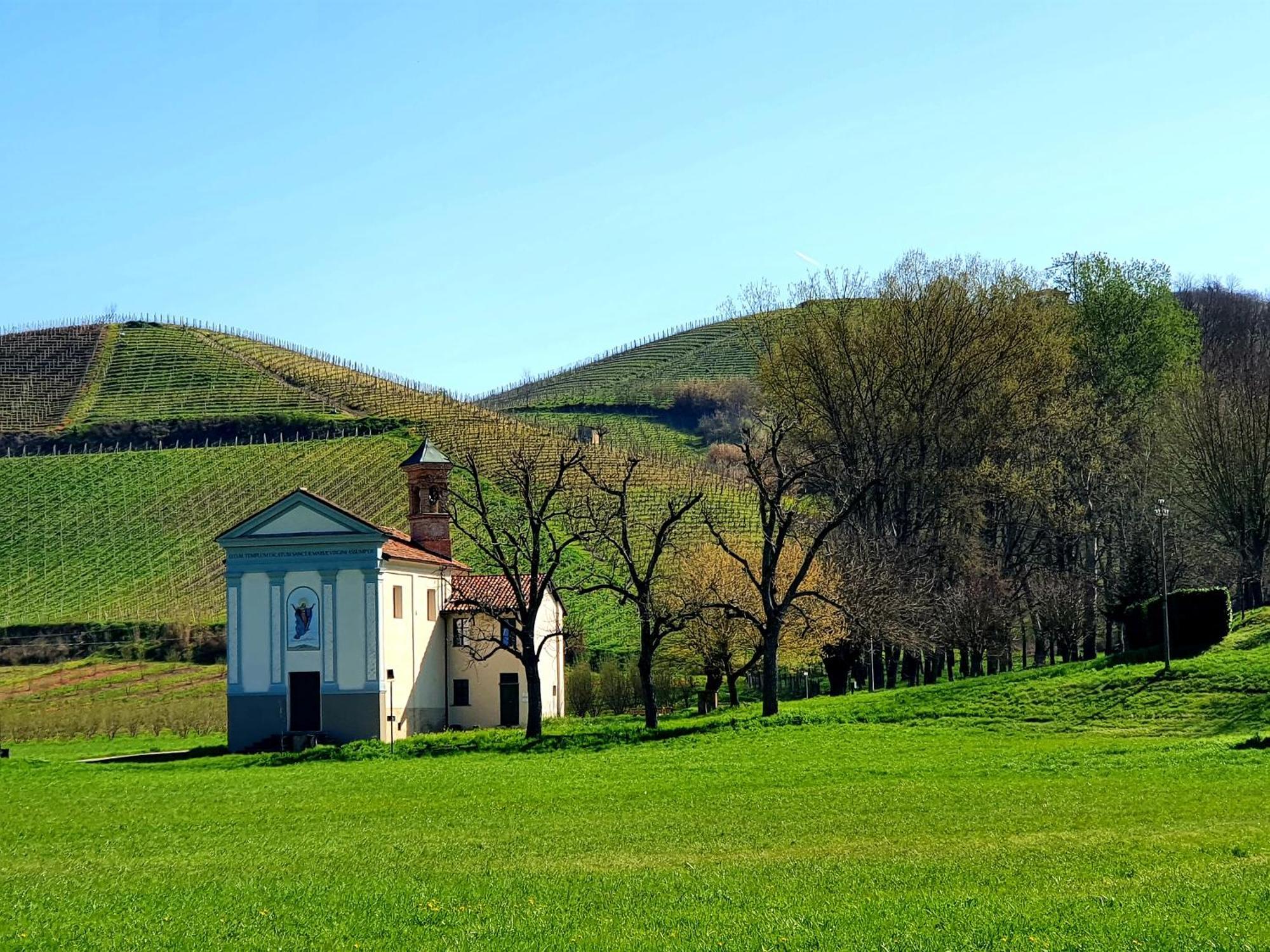 Oasi Del Monferrato - Appartamento Rosso Mombercelli Εξωτερικό φωτογραφία